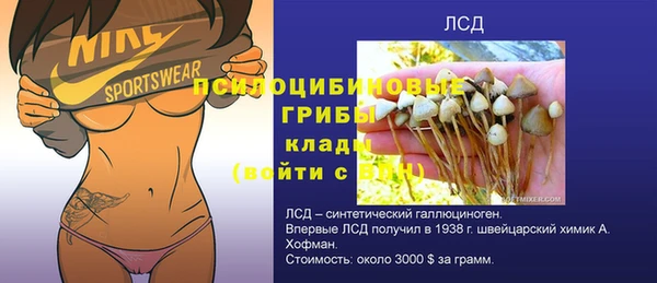 трава Абинск