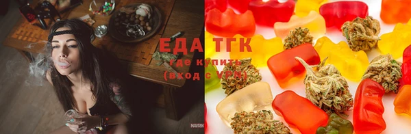 дживик Абаза