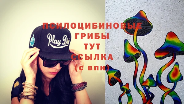 трава Абинск