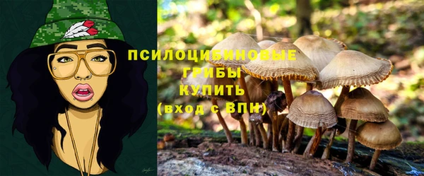 амф Алексеевка