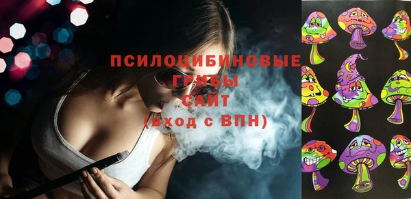 дживик Абаза