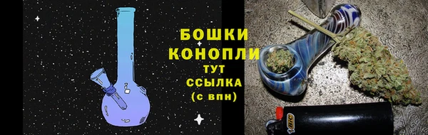 дживик Абаза