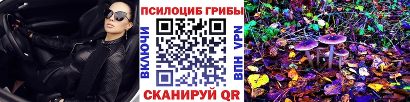 цена наркотик  Плавск  Галлюциногенные грибы Psilocybine cubensis 